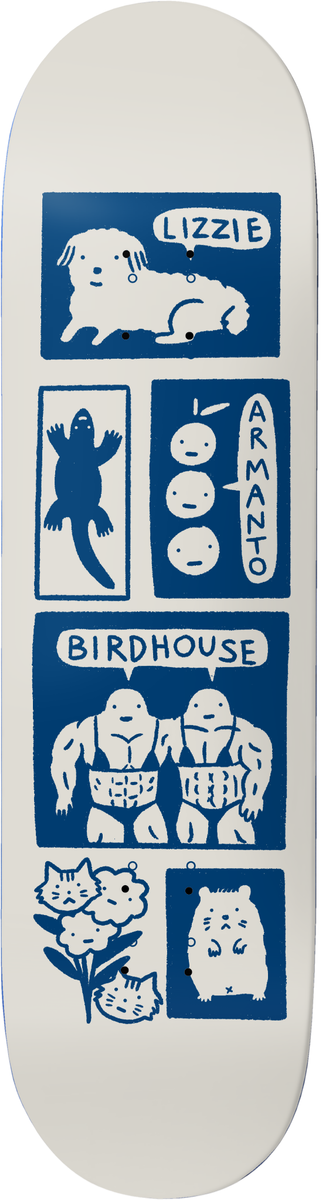 BIRDHOUSE Armanto "Catalina" 8.25" SKATEBOARD DECK