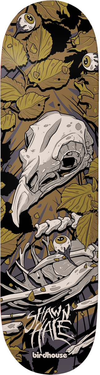 BIRDHOUSE Hale "Tillbook" 9" Skateboard Deck