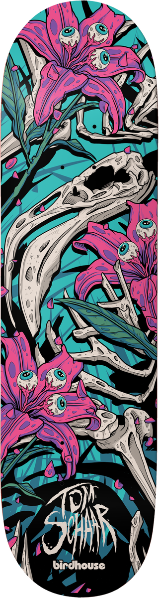 BIRDHOUSE Tom Schaar Tillbrook 8.38" Skateboard Deck